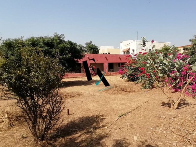 TERRAIN YENN-TOUBAB DIALLAW