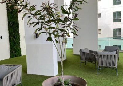 luxueux appartement F4 meublé