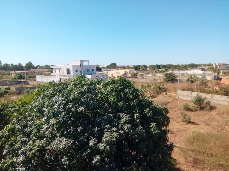 Nguerigne terrain 900m