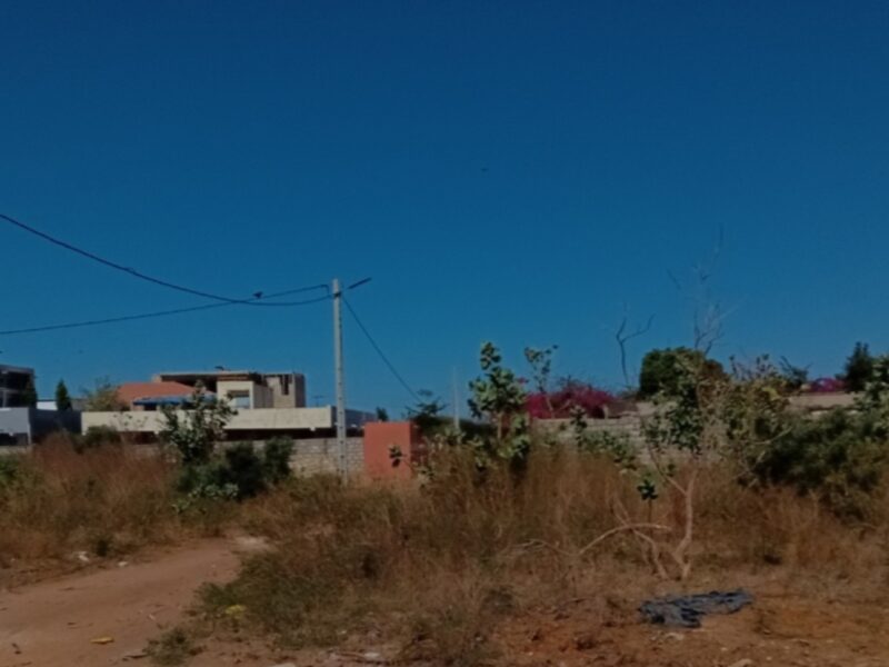 Nguerigne terrain 900m