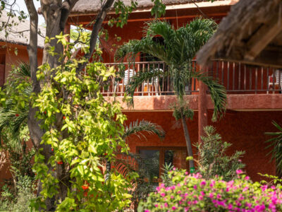 Royal Horizon Baobab