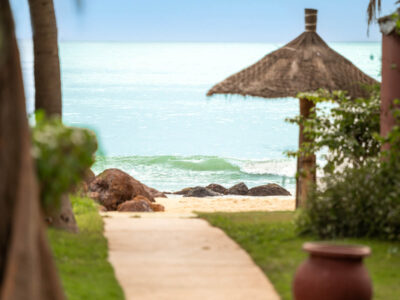 Royal Horizon Baobab