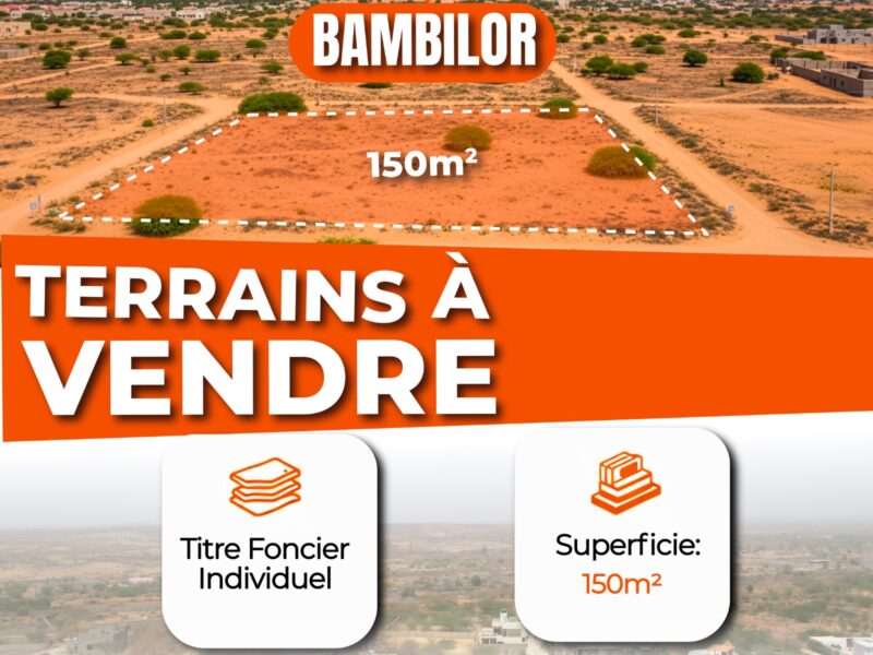 Terrains à vendre