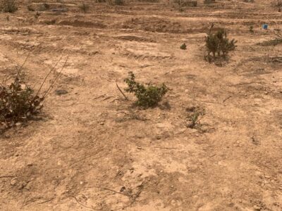 TERRAIN A VENDRE YENNE