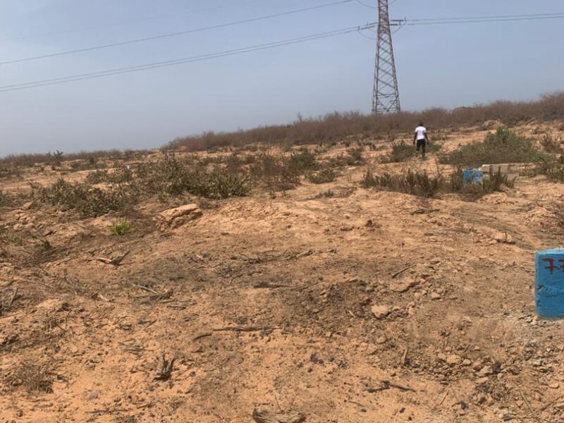 TERRAIN A VENDRE YENNE