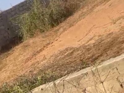 TERRAIN RÉSIDENTIEL DE 1 437 M² À VENDRE – KEUR TOUBAB DIALAW