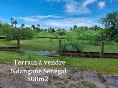 terrain à vendre ndangane